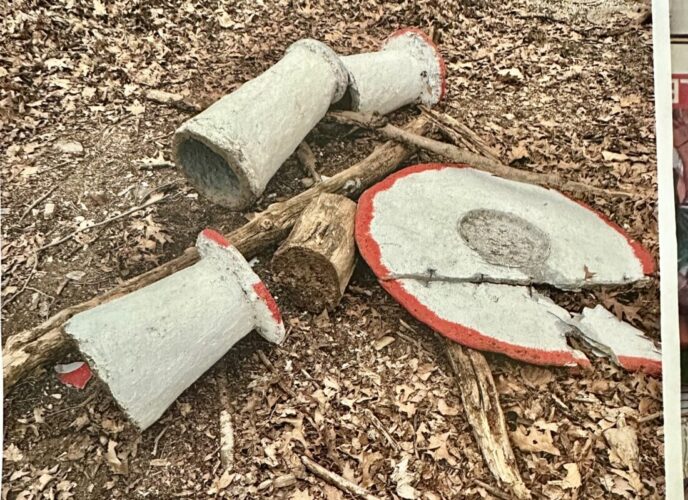 Vandals strike nature trail at Lysock View | News, Sports, Jobs - Vimarsana News